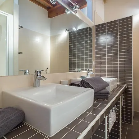 Loft Croix Rousse Apartment
